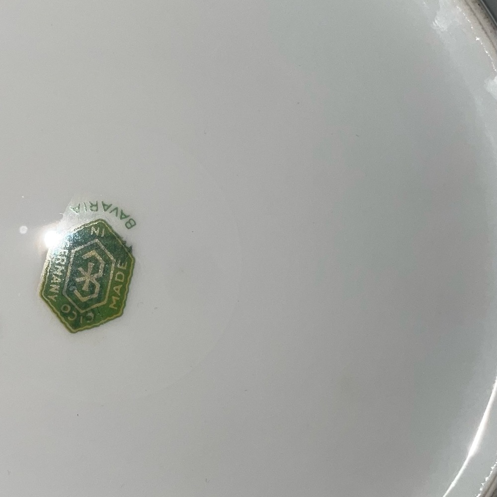 Vintage Porcelain German Bavarian Ceramic China Plate - Picture 10 of 11